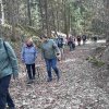 03 bei Waldhausen - Schättere-Trasse